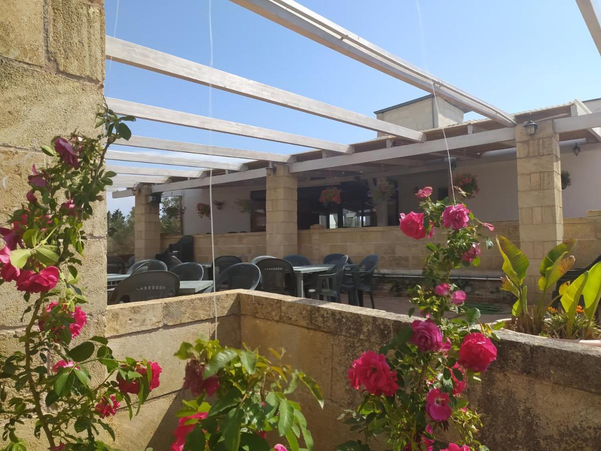 Agriturismo "Terra D'Ulivi" 切萨雷奥港 外观 照片