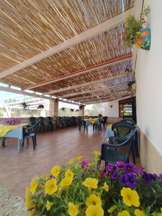 Agriturismo "Terra D'Ulivi" 切萨雷奥港 外观 照片