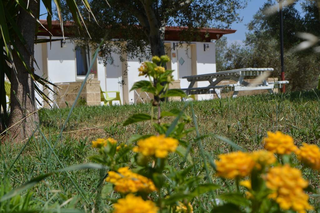Agriturismo "Terra D'Ulivi" 切萨雷奥港 外观 照片